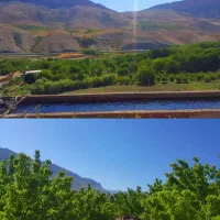 فروش زمین مساحت ۳۷ هزار متر و کارگاه پرورش ماهی|فروش دفتر صنعتی، کشاورزی، تجاری|گندمان, |دیوار