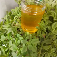 دستگاه روغن گیر خانگی