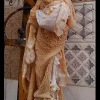 سیرابی درشت سفید پیک رایگان