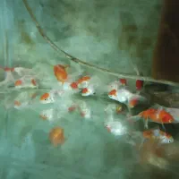 انواع ماهی آکواریوم (سالن تکثیر)|ماهی|تبریز, |دیوار