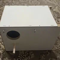 لانه عروس هلندی