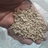 فروش گندم و جو|عمدهفروشی|مرودشت, رامجرد یک|دیوار