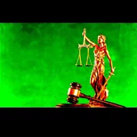 وکیل حرفه ای تهران ملکی ثبتی کیفری خانواده|خدمات مالی، حسابداری، بیمه|تهران, سهروردی|دیوار