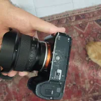 الفا سون اس ۲ مارک دوSony alpha 7sii a7 a7iii a7s|دوربین عکاسی و فیلمبرداری|تهران, امیرآباد|دیوار