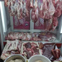 قلم پاچه گوساله 80 هزار  قصابی آوا سید مصطفی