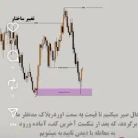 آموزش حضوری بازار های مالی فارکس کریپتو