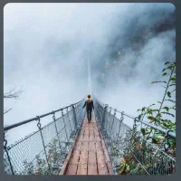 آهنگ ناب ماشین