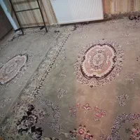 ۲تخته فرش ۶متری هم رنگ وهم شکل