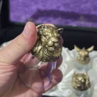 شات سر حیوانات 6 عددی|ظروف سرو و پذیرایی|ساری, |دیوار