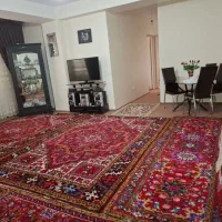 واحد-88-متری-نورگیر-دامپزشکی