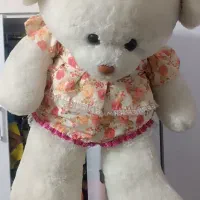 عروسک خرسی|اسباب‌‌بازی|اندیشه, اندیشه فاز ۲|دیوار