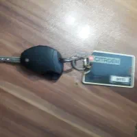 سوئیچ زانتیا فابریک اصل فرانسه