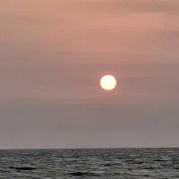 استخدام نیروی خدمات