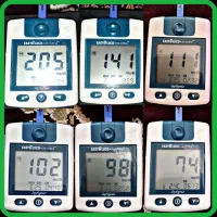 بهبود دیابت|آرایشی، بهداشتی، درمانی|تبریز, |دیوار