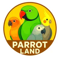 اگه طوطی ها رو دوست داری چنل من رو سابسکرایب کنید