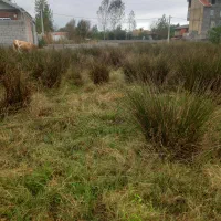 زمین فروشی وماوضه زمین باماشین وآپارتمان|پیشفروش املاک|تالش, هشتپر|دیوار