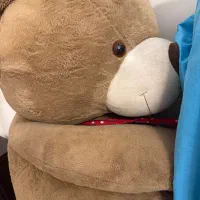 خرس پلیشی ترک قابل تخفیف