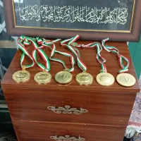 مدال برنز|کلکسیون اشیاء عتیقه|تهران, ستارخان|دیوار