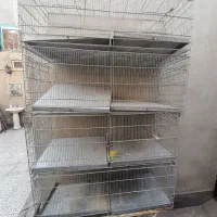 قفس جوجه پران