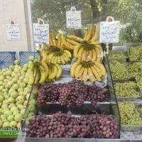 نیروی کار در میوه فروشی|استخدام خدمات فروشگاه و رستوران|تهران, امام حسین|دیوار