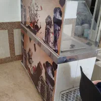 فریزر بستنی و آب میوه گیر
