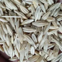 جومحلی تمیز به فروش میرسد