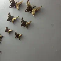 پروانه برنز