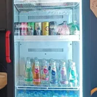 یخچال ایستاده