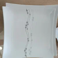 ظرف پذیرایی