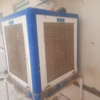 فروش کولرابی سلولزی