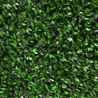 فروش انواع فنس برگی، فنس رشته ای ، قیمت مناسب