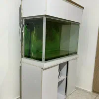 شیشه آکواریوم با تجهیزات ۸میلیون|ماهی|آستارا, |دیوار