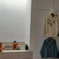 سگ معاوضه با کفتر