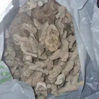 مدیا سرامیک آکواریوم