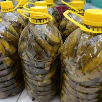 خیار شور ترد و خوشمزه