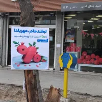 اسنوا محیاشهر تخفیف خرید چکی و نقدی|یخچال و فریزر|سیرجان, |دیوار