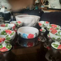 ظروف پذیرایی