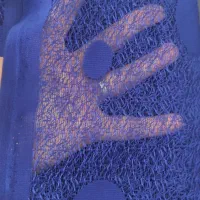پارچه مجلسی|لباس|الوند, |دیوار