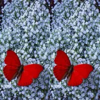 من 9 سال سابقه کار در مدرسه خصوصی دارم