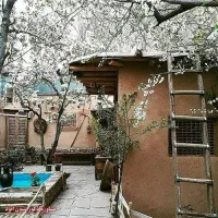 خانه ویلایی ۵۰ متری