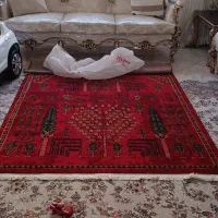 فرش لاکی نو قالی سلیمان|فرش|فردیس, طالقانی|دیوار