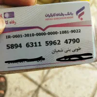 کارت پیدا شده