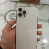 ایفون ۱۲ پرومکس پلم