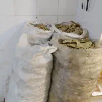 نان خشک تمیز  و بدون کپک