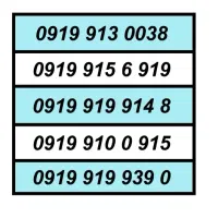 0919.9100915