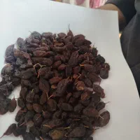 فخری درجه یک
