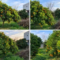 فرصت-مناسب-برای-خرید-زمین-و-سرمایه-گذاری
