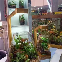 استند گل.پایه چوبی