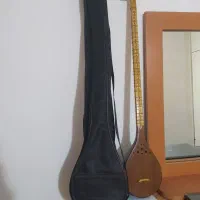سه تار انوشیروان به همراه کیف