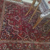 فرش دستباف|فرش|اصفهان, کوجان|دیوار